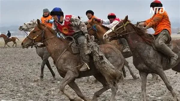 Кок-бору и кокпар: когда традиция сильнее разногласий