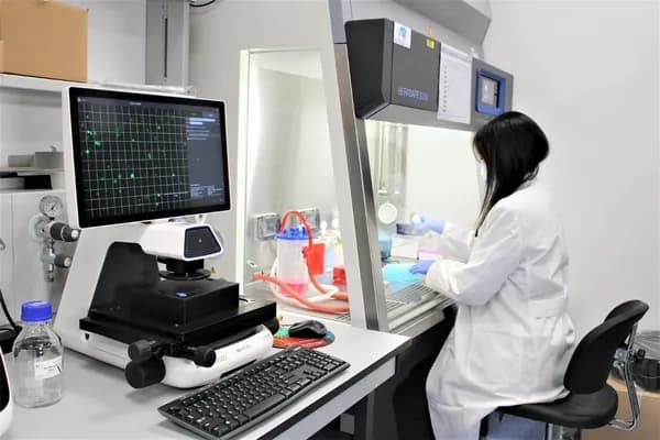 Где будем ставить диагноз?