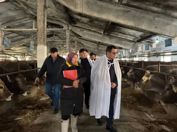 В Кыргызстане будет усилен ветеринарный контроль.