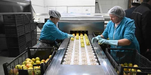 От центра земледелия до флагмана переработки