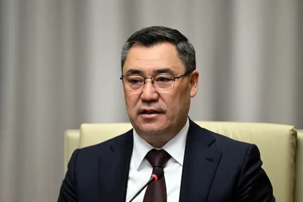 Помогать в выявлении коррупции