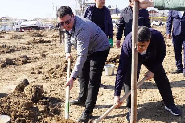 В Оше высадили 1300 саженцев на территории кладбища Хохлова