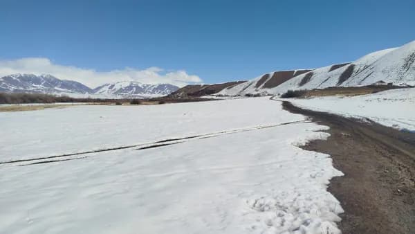 В Жумгальском районе выявили незаконную продажу земли