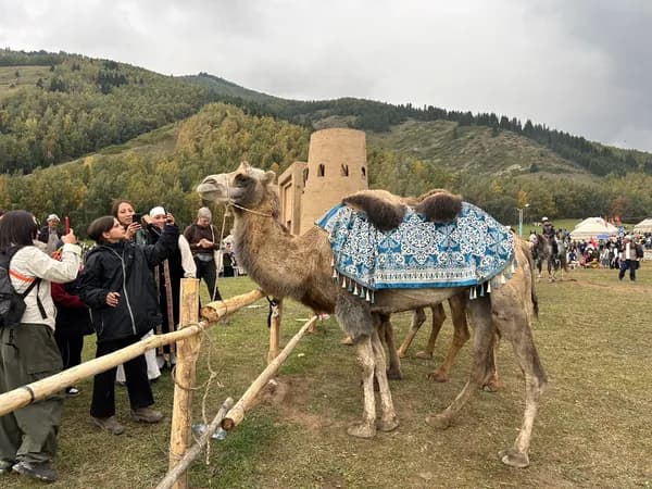 Весь Кыргызстан на одном джайлоо