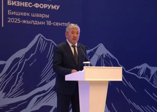 Турецкие инвестиции - в кыргызскую экономику