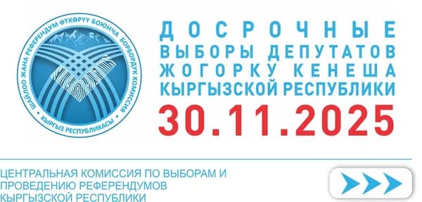 «Депутат не строит школы»: руководитель Информационной службы Президента призвал проверять предвыборные заявления